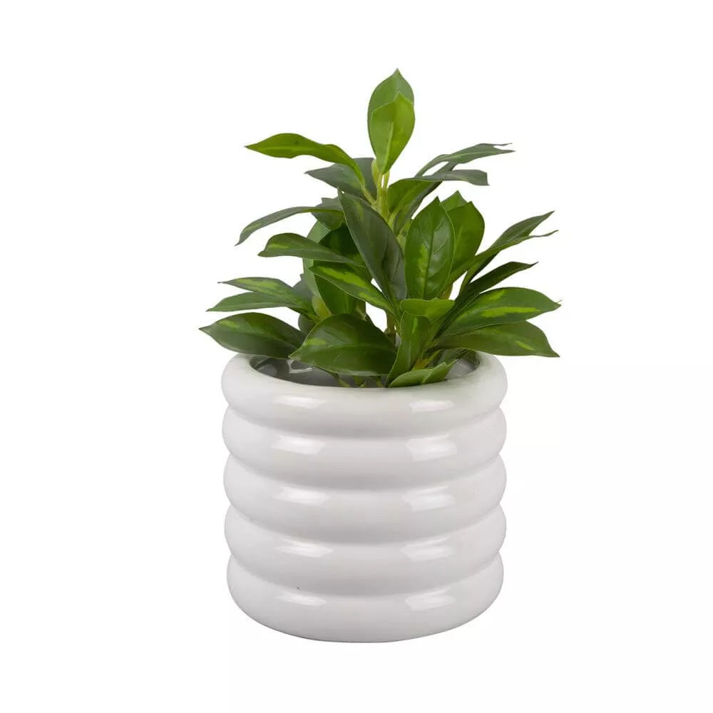 Present Time Plant Pot Bobbly Glazed Medium Ceramic
